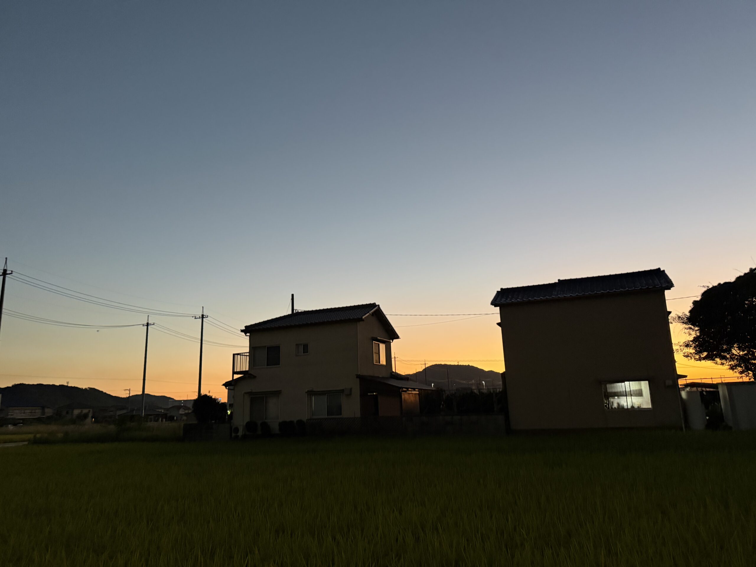 夕焼けと稲穂